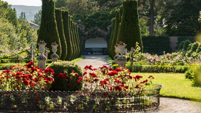 View along the avenue of clipped yews at Erddig, Wrexham, Wales